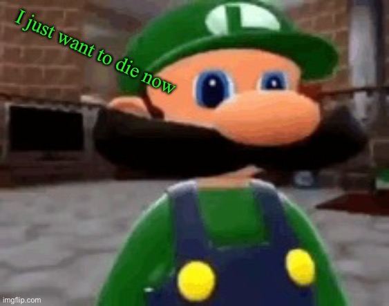 Where Mario | I just want to die now | image tagged in where mario | made w/ Imgflip meme maker