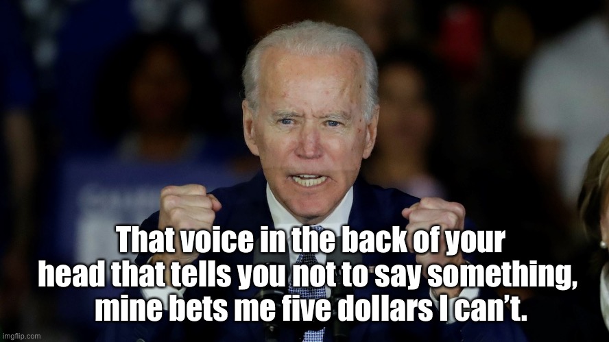 Biden | That voice in the back of your head that tells you not to say something, 
mine bets me five dollars I can’t. | image tagged in angry joe biden,voices,in your head,money,say it | made w/ Imgflip meme maker
