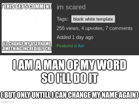 oh noooo | SO I'LL DO IT; I AM A MAN OF MY WORD; ( BUT ONLY UNTILL I CAN CHANGE MY NAME AGAIN) | image tagged in idk | made w/ Imgflip meme maker