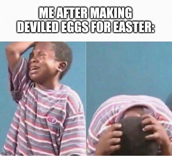 "Deviled Eggs" | ME AFTER MAKING DEVILED EGGS FOR EASTER: | image tagged in white box,crying kid | made w/ Imgflip meme maker