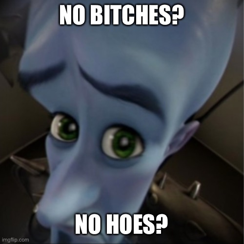 Megamind peeking | NO BITCHES? NO HOES? | image tagged in megamind peeking | made w/ Imgflip meme maker