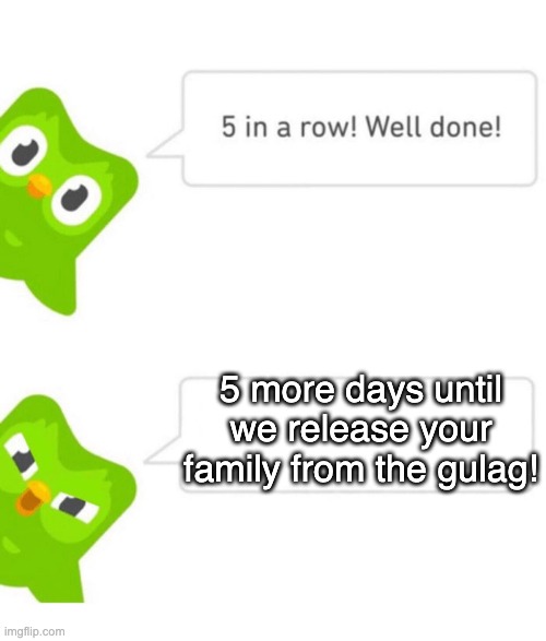 5 MORE :) |  5 more days until we release your family from the gulag! | image tagged in duolingo 5 in a row,duolingo bird,duolingo,duolingo gun | made w/ Imgflip meme maker