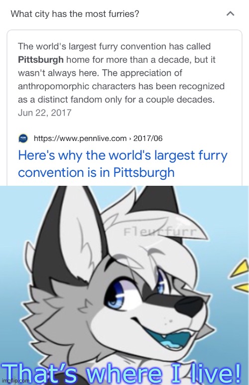 Ayo | That’s where I live! | image tagged in furry | made w/ Imgflip meme maker