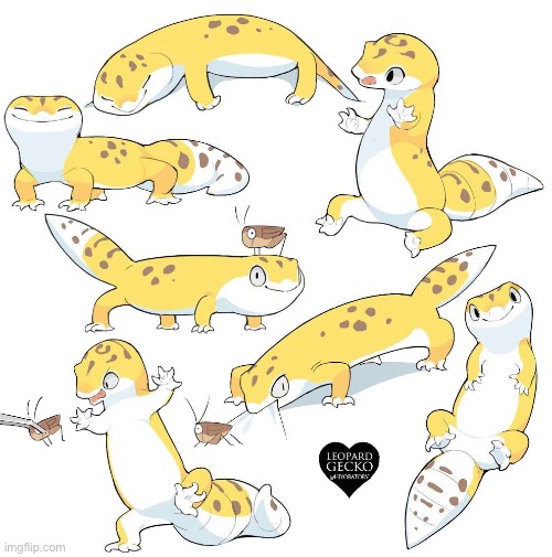 IM GETTING A LEOPARD GECKO IM SO HAPPIEY | made w/ Imgflip meme maker