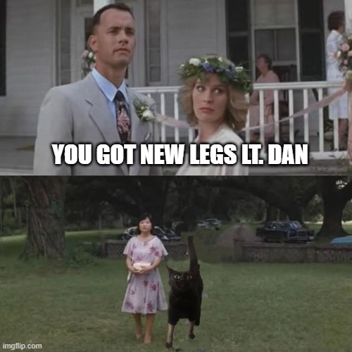 YOU GOT NEW LEGS LT. DAN | made w/ Imgflip meme maker