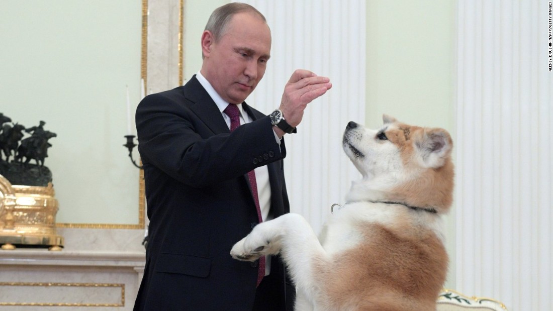 Putin's dog. Donald Trump or Tucker Carlson? Blank Meme Template