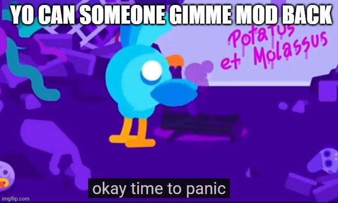 okay time to panic | YO CAN SOMEONE GIMME MOD BACK | image tagged in okay time to panic | made w/ Imgflip meme maker