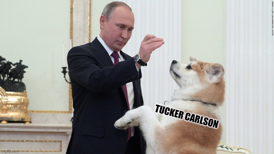 Beg. Fetch. Lie down. Roll over. | TUCKER CARLSON | image tagged in putin's dog donald trump or tucker carlson,tucker carlson,putin,poodle | made w/ Imgflip meme maker