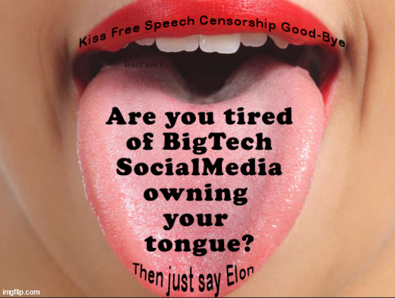 Then just say Elon. | image tagged in memes,free speech,politics | made w/ Imgflip meme maker