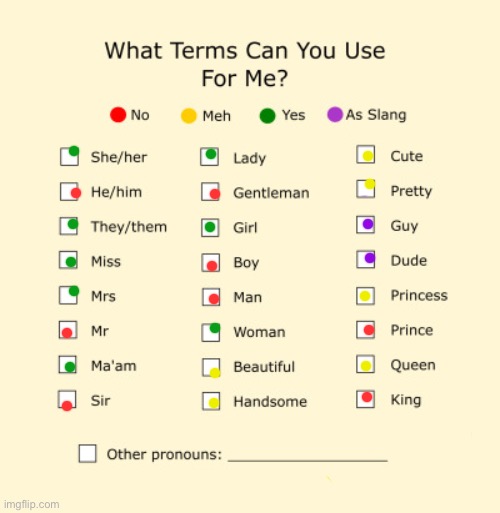 Pronouns Sheet | image tagged in pronouns sheet | made w/ Imgflip meme maker