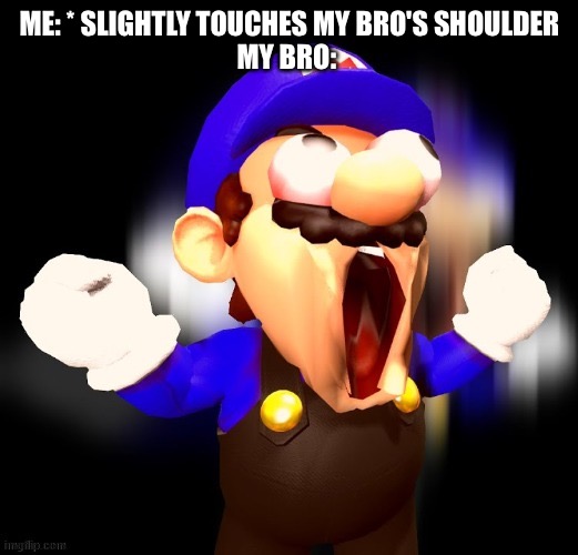 Personal space bro | ME: * SLIGHTLY TOUCHES MY BRO'S SHOULDER
MY BRO: | image tagged in smg3 scream,brothers | made w/ Imgflip meme maker