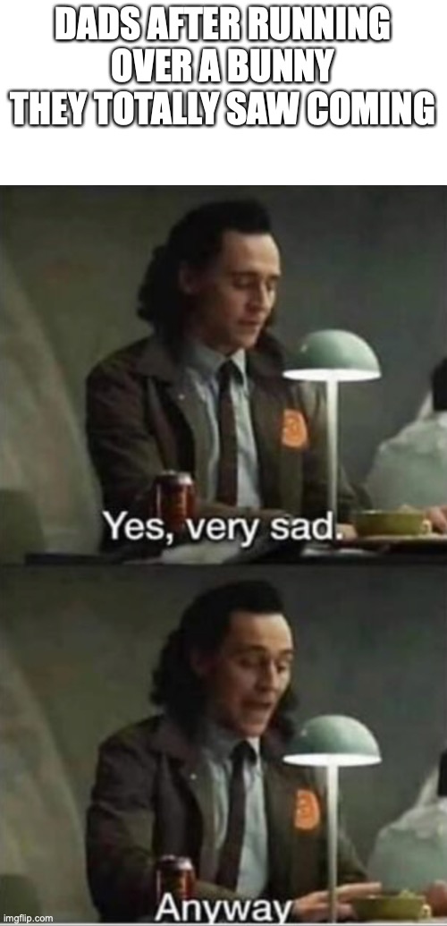 Dads + bunny |  DADS AFTER RUNNING OVER A BUNNY THEY TOTALLY SAW COMING | image tagged in loki | made w/ Imgflip meme maker