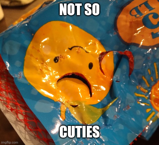 Not quite... |  NOT SO; CUTIES | image tagged in oranges | made w/ Imgflip meme maker