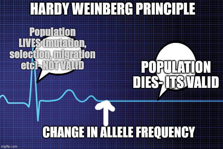 HARDY WEINBERG PRINCIPLE | HARDY WEINBERG PRINCIPLE; Population LIVES (mutation, selection, migration etc)- NOT VALID; POPULATION DIES- ITS VALID; CHANGE IN ALLELE FREQUENCY | image tagged in genetics | made w/ Imgflip meme maker