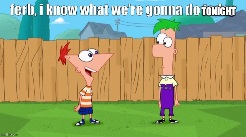 Ferb, i know what we’re gonna do today | TONIGHT | image tagged in ferb i know what we re gonna do today | made w/ Imgflip meme maker
