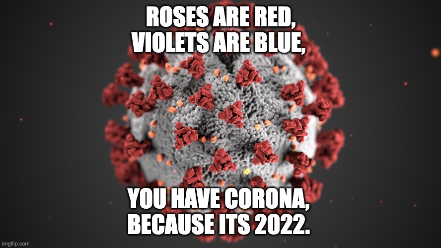 noooo | ROSES ARE RED,
VIOLETS ARE BLUE, YOU HAVE CORONA, 
BECAUSE ITS 2022. | image tagged in roses are red violets are blue,corona,coronavirus,covid-19 | made w/ Imgflip meme maker