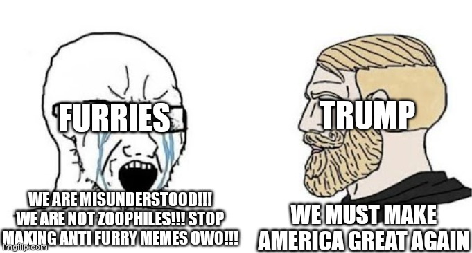 Soyjak vs Chad | WE ARE MISUNDERSTOOD!!! WE ARE NOT ZOOPHILES!!! STOP MAKING ANTI FURRY MEMES OWO!!! WE MUST MAKE AMERICA GREAT AGAIN FURRIES TRUMP | image tagged in soyjak vs chad | made w/ Imgflip meme maker