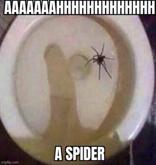 AHHHH | made w/ Imgflip meme maker