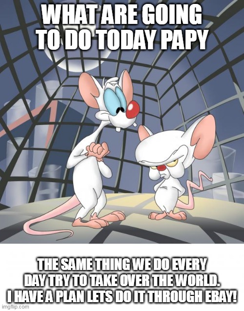 Pinky and the brain | WHAT ARE GOING TO DO TODAY PAPY; THE SAME THING WE DO EVERY DAY TRY TO TAKE OVER THE WORLD. I HAVE A PLAN LETS DO IT THROUGH EBAY! | image tagged in pinky and the brain | made w/ Imgflip meme maker