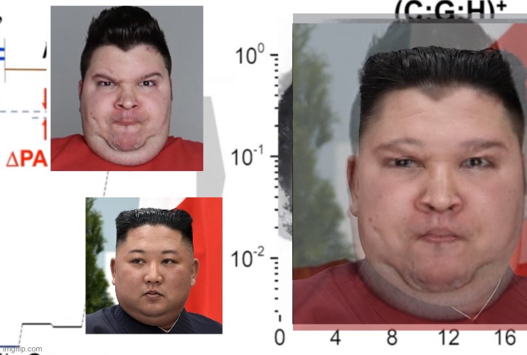 Kim jovocado avocado | image tagged in memes | made w/ Imgflip meme maker