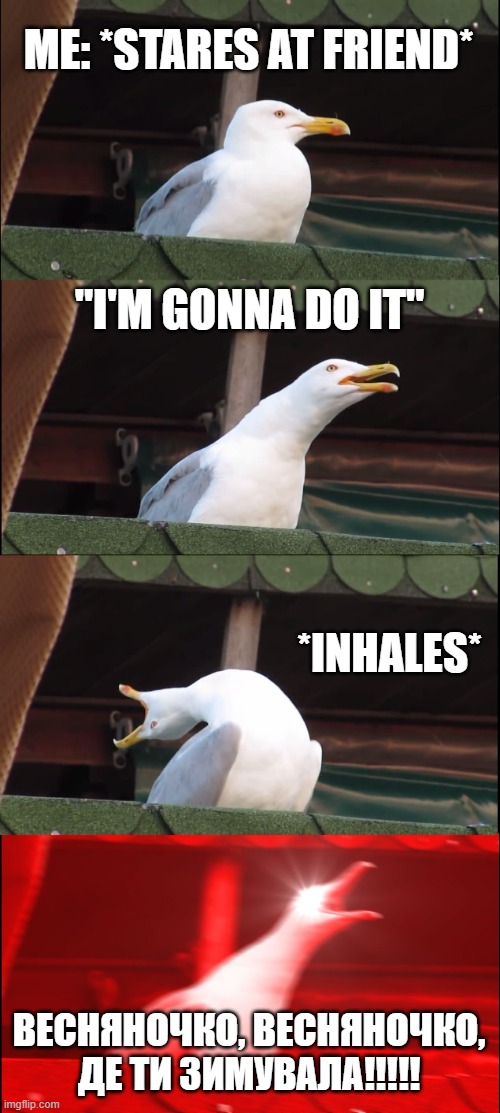 so yeah | ME: *STARES AT FRIEND*; "I'M GONNA DO IT"; *INHALES*; ВЕСНЯНОЧКО, ВЕСНЯНОЧКО, ДЕ ТИ ЗИМУВАЛА!!!!! | image tagged in memes,inhaling seagull | made w/ Imgflip meme maker