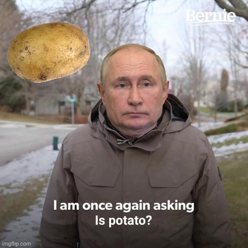 Nyet! Is SPUDNIK! | Is potato? | image tagged in memes,bernie i am once again asking for your support | made w/ Imgflip meme maker