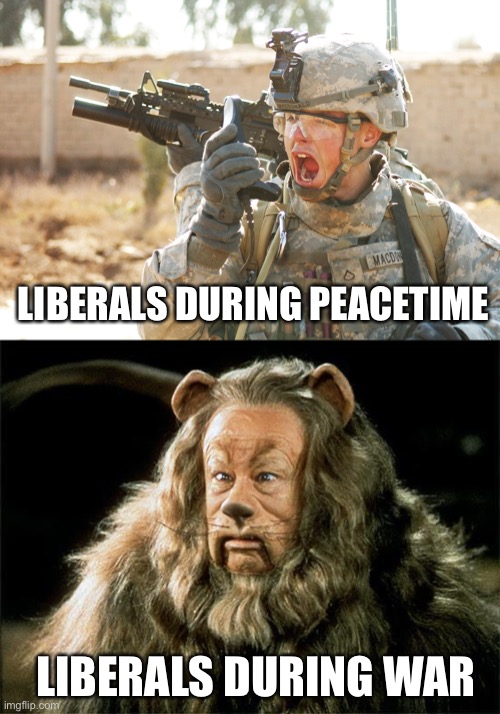 LIBERALS DURING PEACETIME LIBERALS DURING WAR | image tagged in us army soldier yelling radio iraq war,cowardly lion | made w/ Imgflip meme maker