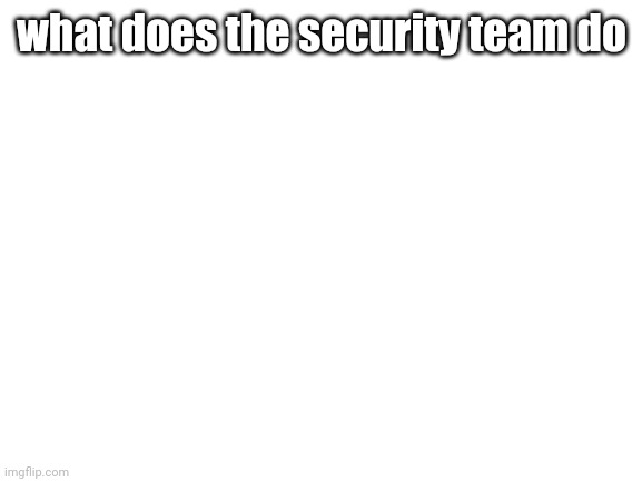 Blank White Template | what does the security team do | image tagged in blank white template | made w/ Imgflip meme maker