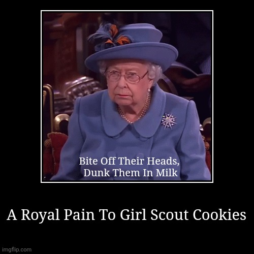 image tagged in funny,demotivationals | made w/ Imgflip demotivational maker