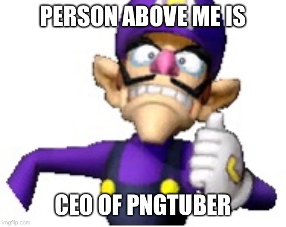 Wah | PERSON ABOVE ME IS; CEO OF PNGTUBER | image tagged in funny69 moment | made w/ Imgflip meme maker