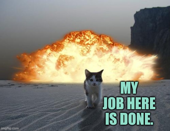 A Day In The Life Of A Cat | MY JOB HERE IS DONE. | image tagged in job,here,is,done,cats,memes | made w/ Imgflip meme maker