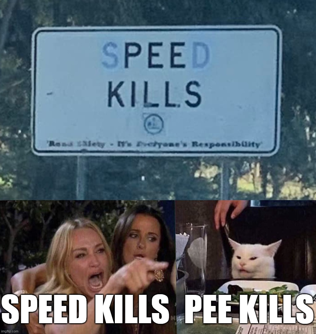 Watch for Kidney Stones | SPEED KILLS; PEE KILLS | image tagged in woman yelling at cat,meme,memes,humor,signs | made w/ Imgflip meme maker