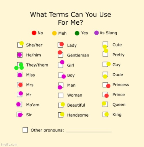 Pronouns Sheet | image tagged in pronouns sheet | made w/ Imgflip meme maker