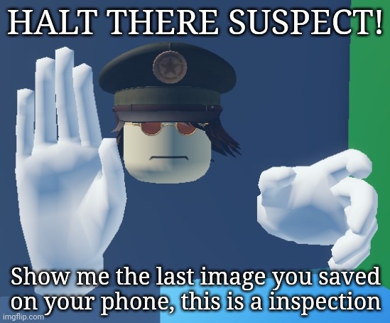 HALT THERE SUSPECT! Show me the last image you saved on your phone, this is a inspection | made w/ Imgflip meme maker