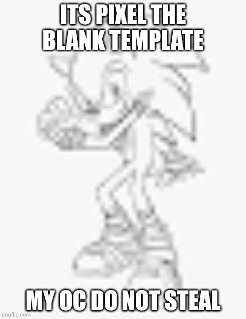 ITS PIXEL THE BLANK TEMPLATE; MY OC DO NOT STEAL | image tagged in sonic | made w/ Imgflip meme maker