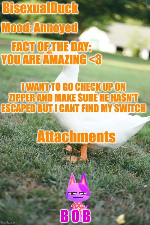 ACK | BisexualDuck; Mood: Annoyed; FACT OF THE DAY: YOU ARE AMAZING <3; I WANT TO GO CHECK UP ON ZIPPER AND MAKE SURE HE HASN'T ESCAPED BUT I CANT FIND MY SWITCH; Attachments; B O B | image tagged in animal crossing | made w/ Imgflip meme maker