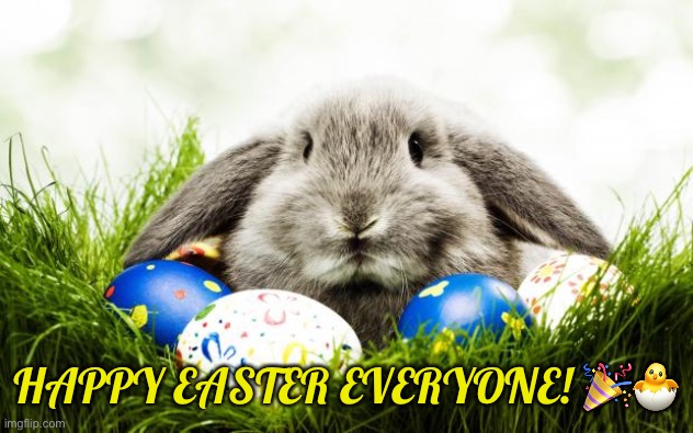 Happy Easter! | HAPPY EASTER EVERYONE! 🎉🐣 | image tagged in easter bunny,have a good day | made w/ Imgflip meme maker