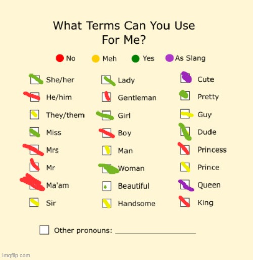 ^^ | image tagged in pronouns sheet | made w/ Imgflip meme maker