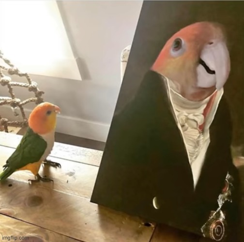 Bird looking at his drawing | image tagged in drawing | made w/ Imgflip meme maker