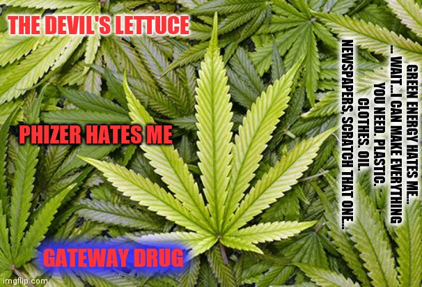 The Angels Weed | THE DEVIL'S LETTUCE; GREEN ENERGY HATES ME...

... WAIT...I CAN MAKE EVERYTHING YOU NEED. PLASTIC. CLOTHES. OIL. NEWSPAPERS, SCRATCH THAT ONE... PHIZER HATES ME; GATEWAY DRUG | image tagged in marijuana,vaccines,brace yourselves x is coming,happy easter | made w/ Imgflip meme maker