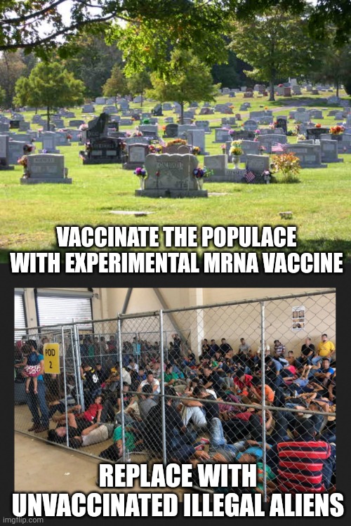  VACCINATE THE POPULACE WITH EXPERIMENTAL MRNA VACCINE; REPLACE WITH UNVACCINATED ILLEGAL ALIENS | image tagged in cemetery,crisis | made w/ Imgflip meme maker