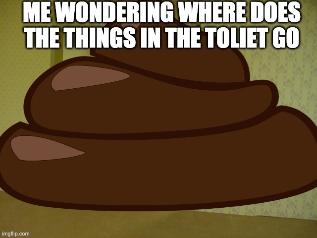  ME WONDERING WHERE DOES THE THINGS IN THE TOLIET GO | image tagged in the backrooms,poop,toliet | made w/ Imgflip meme maker