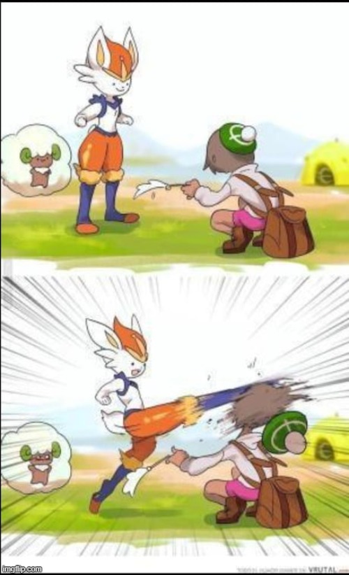 Cinderace kick | image tagged in cinderace kick | made w/ Imgflip meme maker