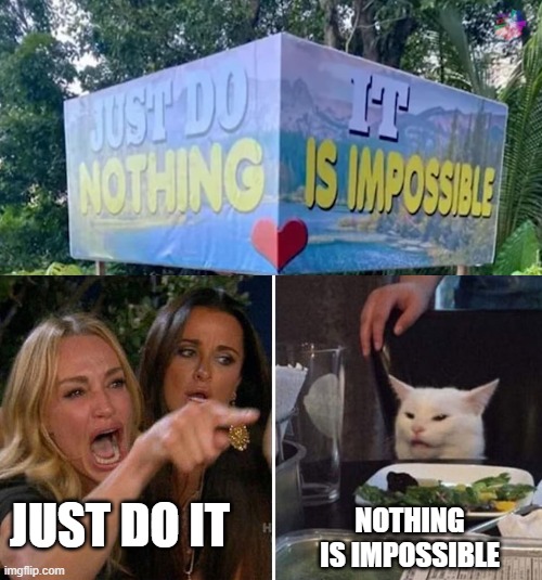 JUST DO IT; NOTHING IS IMPOSSIBLE | image tagged in angry lady cat | made w/ Imgflip meme maker