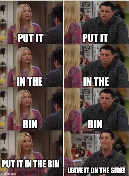 Shared living | PUT IT; PUT IT; IN THE; IN THE; BIN; BIN; PUT IT IN THE BIN; LEAVE IT ON THE SIDE! | image tagged in phoebe joey | made w/ Imgflip meme maker
