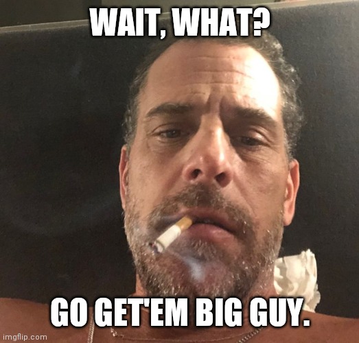 Hunter Biden | WAIT, WHAT? GO GET'EM BIG GUY. | image tagged in hunter biden | made w/ Imgflip meme maker