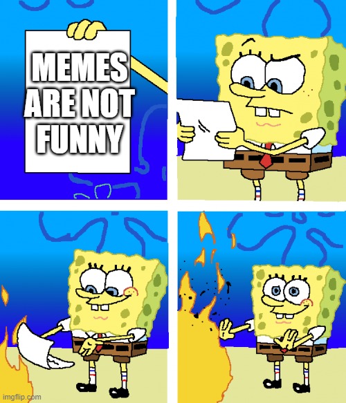 Are memes funny? | MEMES ARE NOT FUNNY | image tagged in memes,so true memes | made w/ Imgflip meme maker