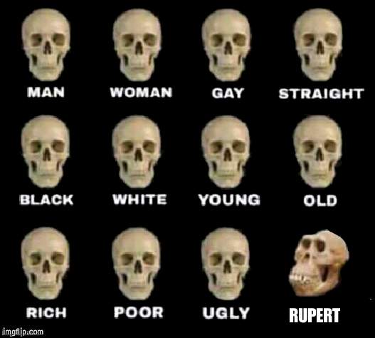 idiot skull | RUPERT | image tagged in idiot skull | made w/ Imgflip meme maker