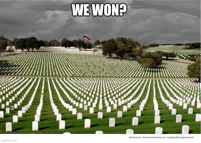 Memorial Day Sales | WE WON? | image tagged in memorial day sales | made w/ Imgflip meme maker