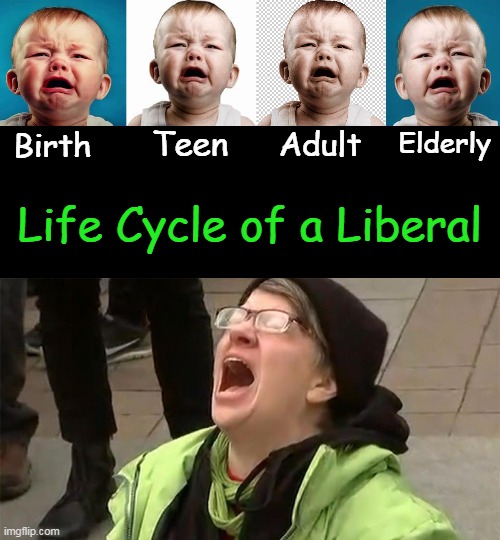 They are 'CONSISTENT'! | Birth; Teen; Elderly; Adult; Life Cycle of a Liberal | image tagged in politics,liberals,crying,whining,ungrateful,spoiled brats | made w/ Imgflip meme maker